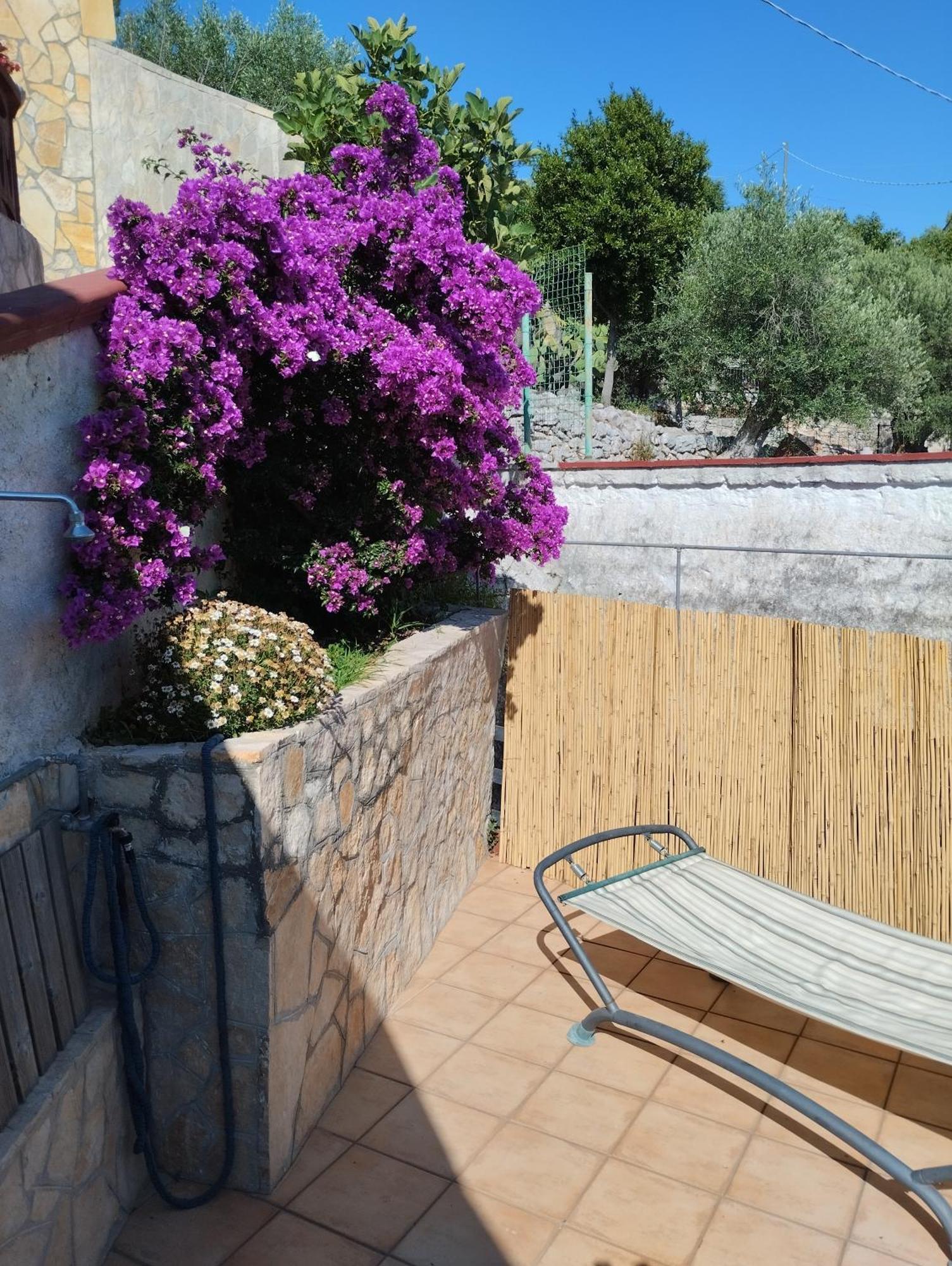 Alehouse Apartment Selva Di Fasano Room photo